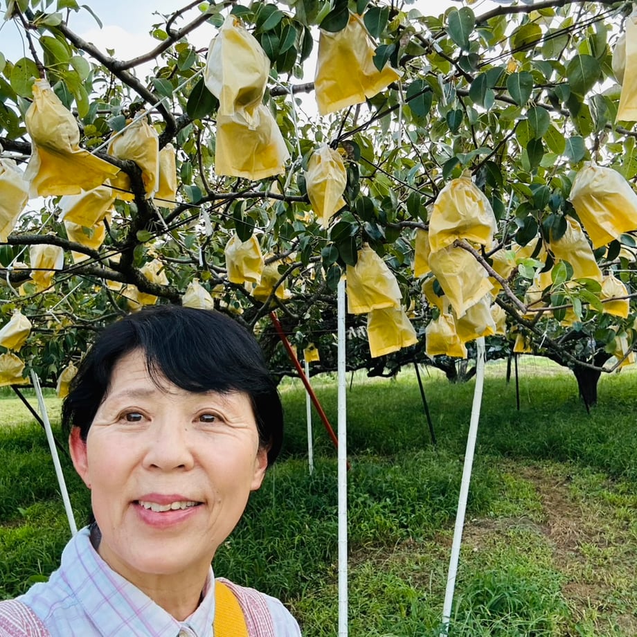 68b64fc2dbaefd3cc3dc46fd