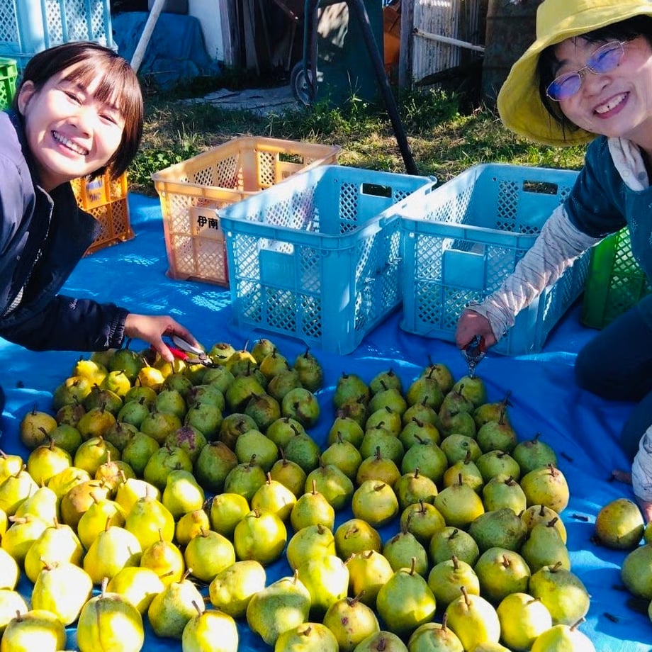 68f017d86af3fca008229eee
