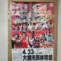 飛鳥プロレス 2025年大会ポスター（篠瀬三十七＆しのせ愛梨紗直筆