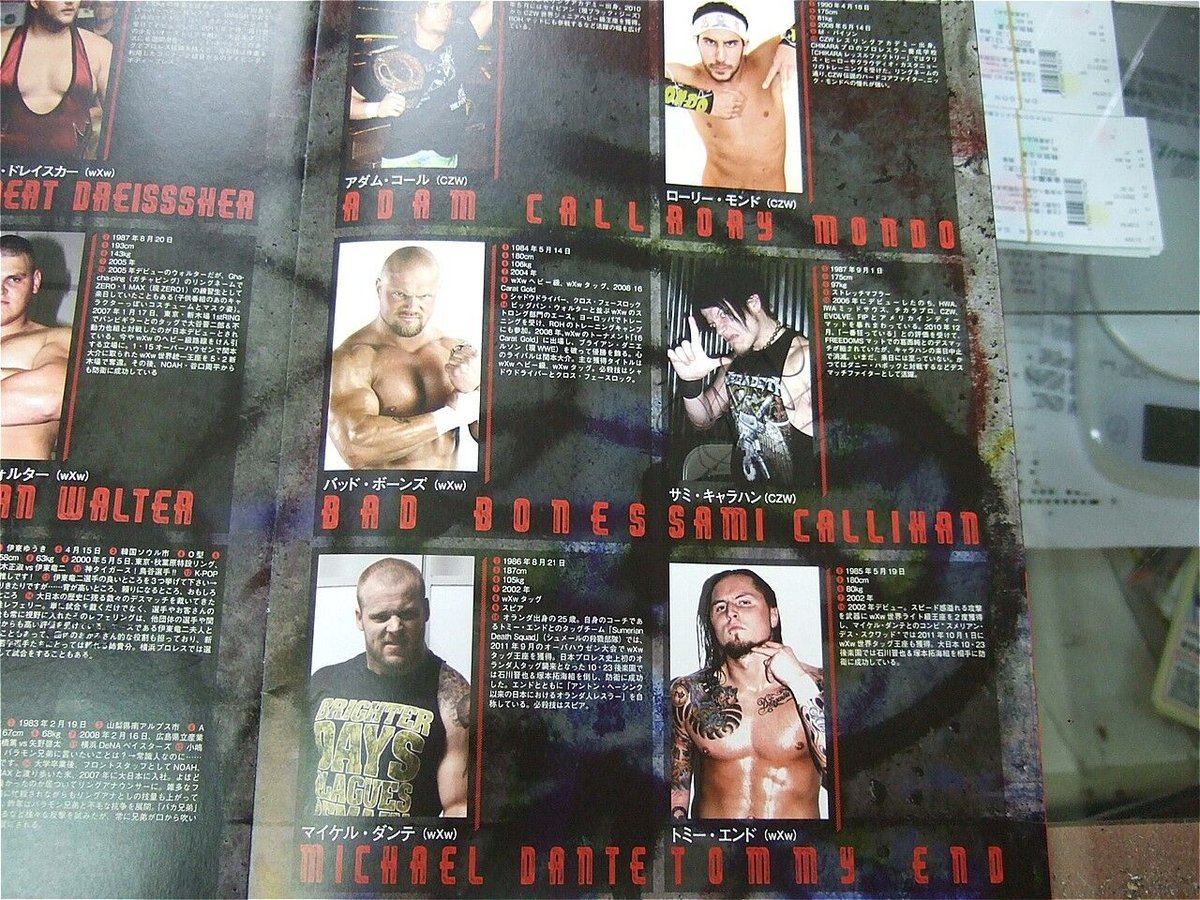 大日本プロレス　パンフレットセット fit=scale-down,w=1200