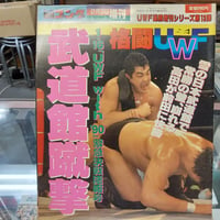 格闘UWF 武道館蹴撃