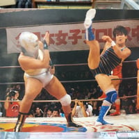 WWE WCW マテル レックス ルガー プロレス フィギュア レックス・ルガー(シリーズ8) – 闘道館