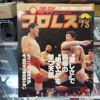 週刊プロレス 1989年10月3日号