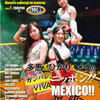 LADYS RING 本間多恵、清水ひかり、駿河メイメキシコ遠征特集号