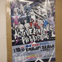 全日本プロレス1995年12月9日日本武道館大会ポスター（額入り