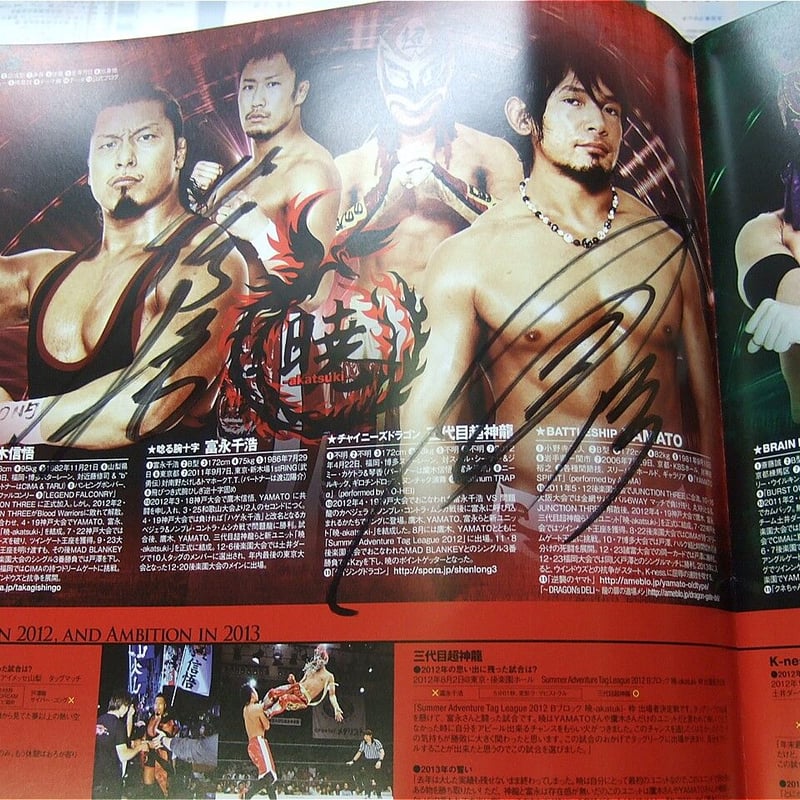 ドラゴンゲート オフィシャルパンフレット2013Vol.29（斎藤