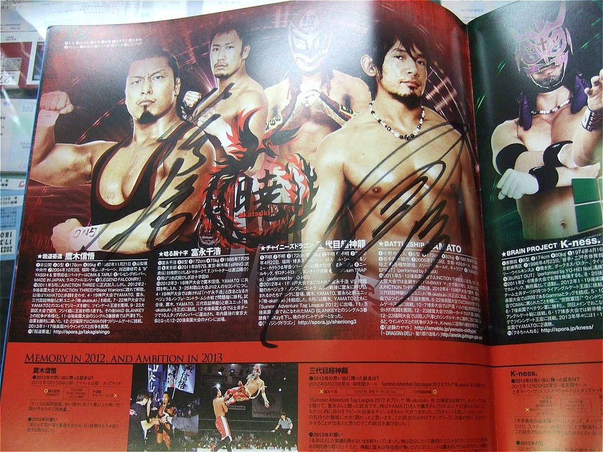 ドラゴンゲート オフィシャルパンフレット2013Vol.29（斎藤