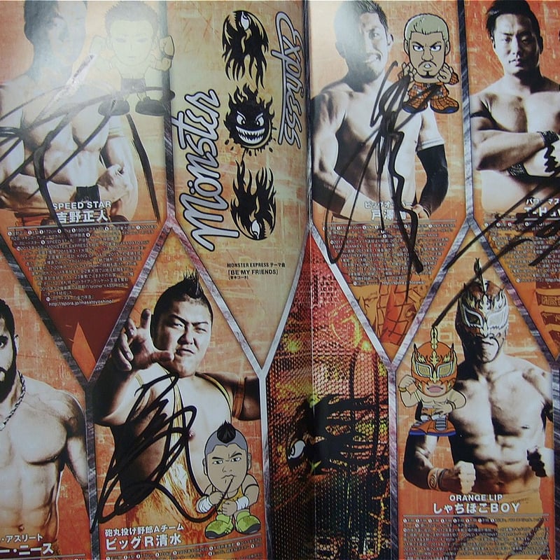 ドラゴンゲートオフィシャルパンフレットVol.49（複数選手直筆