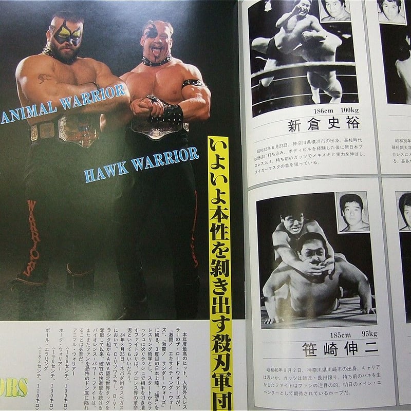 全日本プロレス ワールドチャンピオンカーニバル85大会パンフレット