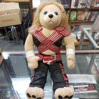 ヴァンダレイ・シウバHAOフィギュア(開封済) | プロレスショップ