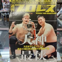 週刊ゴング1998年4月4日アントニオ猪木引退試合増刊号