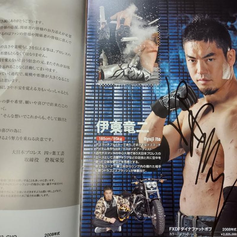 超レア!2015AllJAPAN メダリストオンアイス サイン入りパンフレット 超