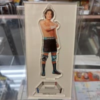 ハルク・ホーガン ＆ デニス・ロッドマン （WCW時代） 当時モノ