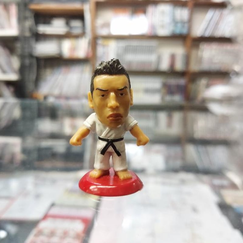 プロ格ヒーローズ フィギュア プロ格ヒーローズ プロレス フィギュア