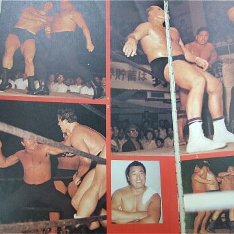 別冊プロレス増刊☆秘蔵写真とセレクトされた記録でつづる 祟っ 日本の