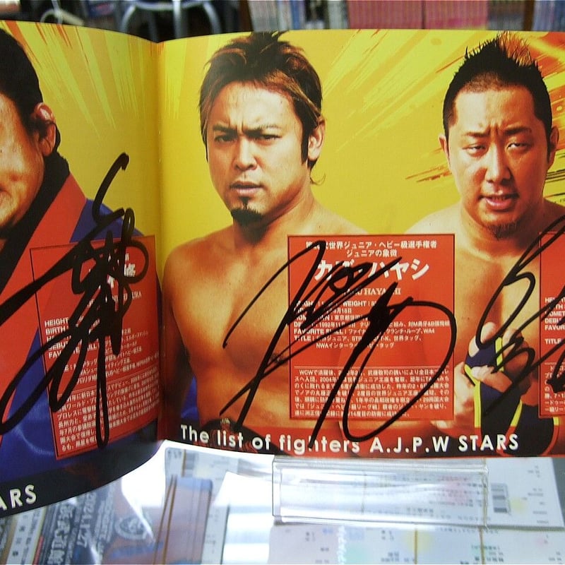 全日本プロレス2010フラッシングツアーパンフレット（14選手直筆サイン