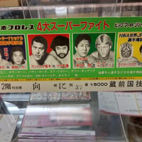 ヒクソン・グレイシー フィギュア | プロレスショップチャンピオン