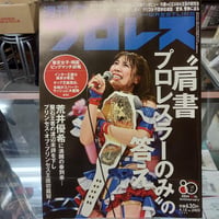 週刊プロレス 2026年4月15日号 肩書プロレスラーのみの答え
