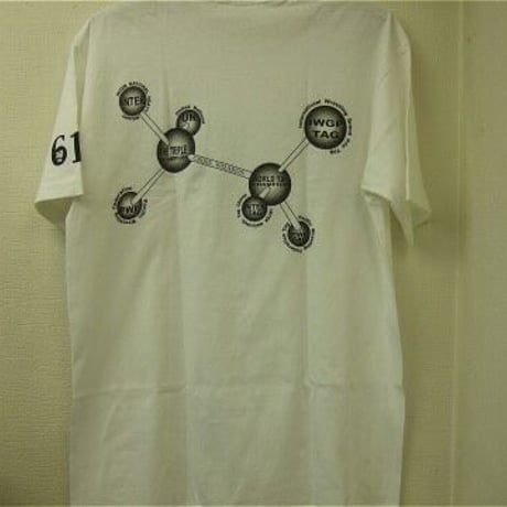 武藤敬司 六冠達成記念 THE6CHAMPION Tシャツ Lサイズ