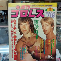 週刊プロレス 1985年10月5日号