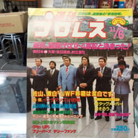 週刊プロレス 1984年11月6日号
