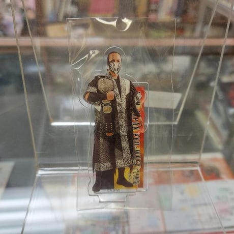 CATEGORY 小物・フィギュア | プロレスショップチャンピオン