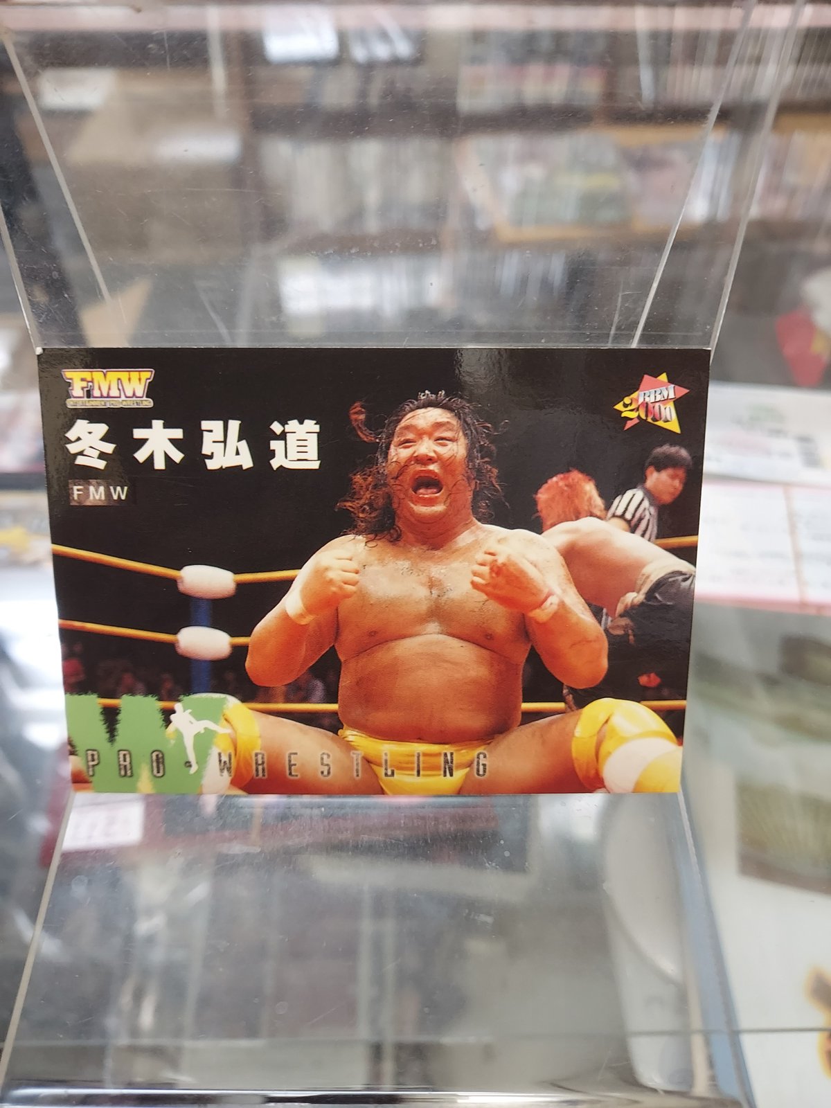 FMW 冬木弘道 完全限定フィギュア FMWプロレス フィギュア2体セット