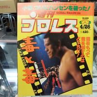 週刊プロレス 1994年4月26日号 毒と毒