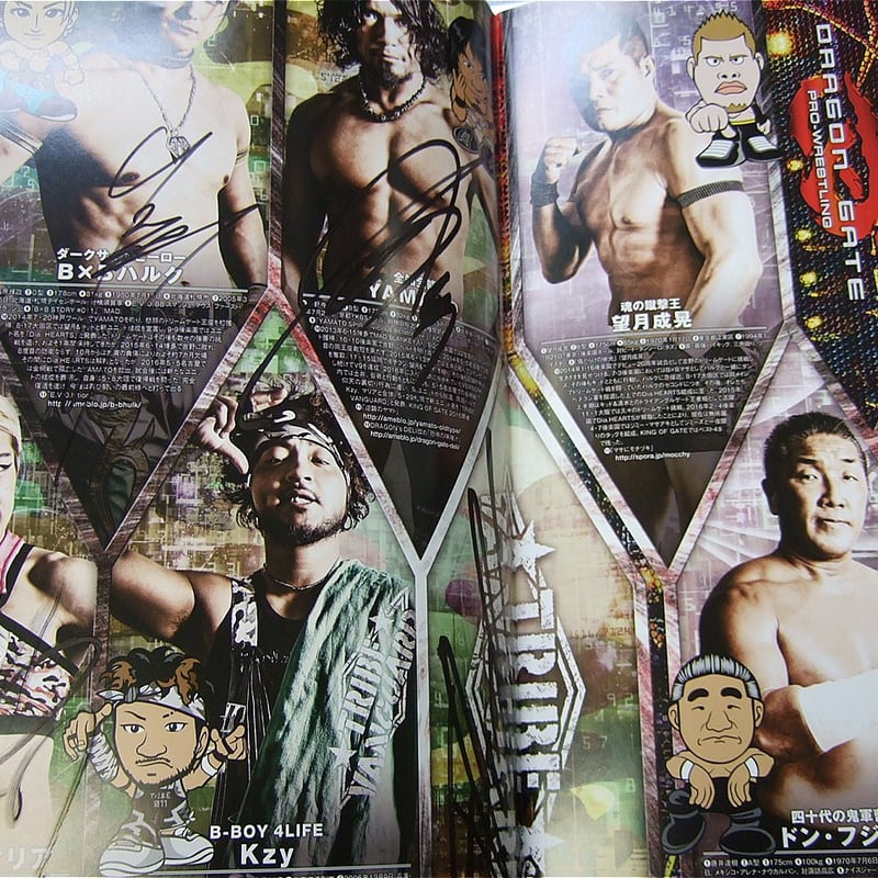 力士サイン 61BI3zcoSeL._AC_SY200_QL15_.jpg