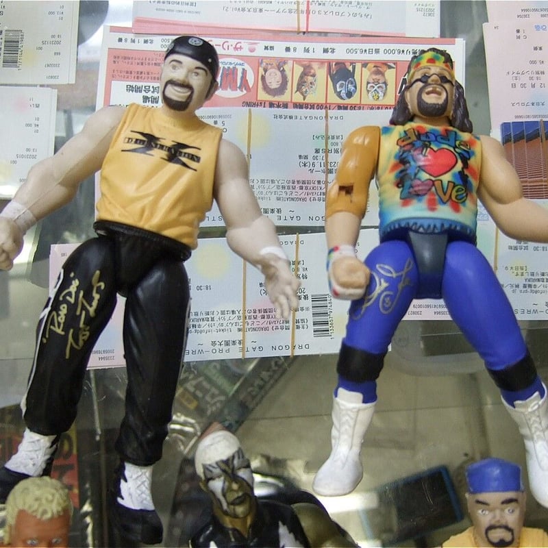 WWF / WWE フィギュア 10体セット WWE WWF プロレス フィギュア 10体セット WWE Wrestling 10