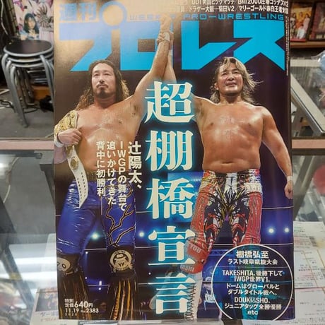 トリプルH直筆サイン入り超特大写真…Triple H…プロレスラー… トリプルH - Wikipedia