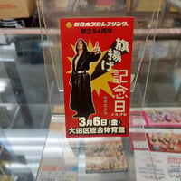 レックス・ルガー（WCW時代）可動式フィギュア（開封済） | プロレス