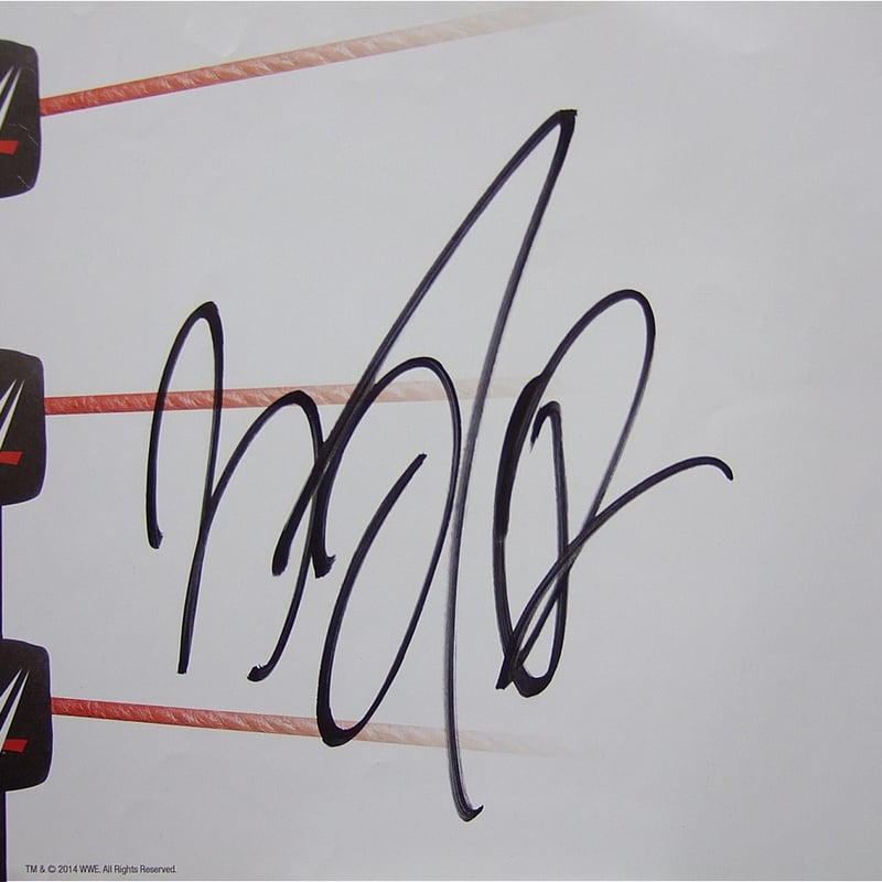 ベッキー 直筆サイン ベッキー 西野亮廣など 直筆サイン ベッキー 西野