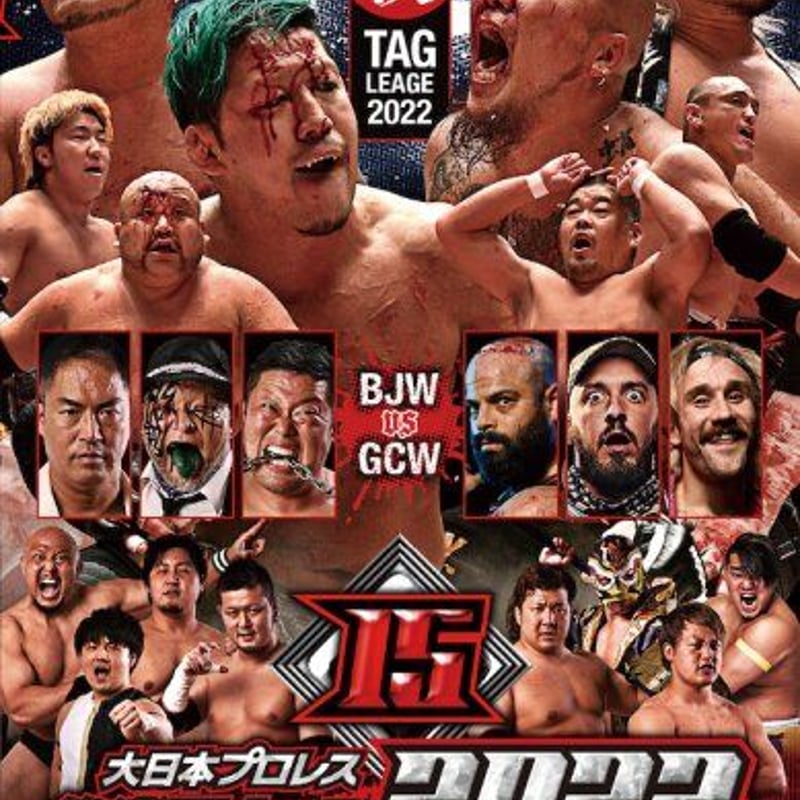 DVD 新日本プロレス 燃えろ!新日本プロレス vol.1 2011年 10/27号 (DVD) : ディスクプラス