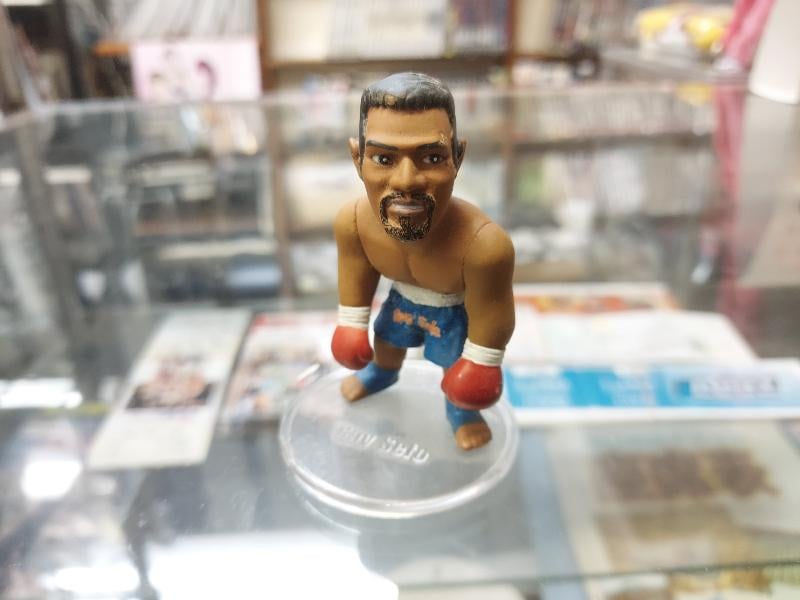 レイ・セフォー フィギュア | プロレスショップチャンピオン