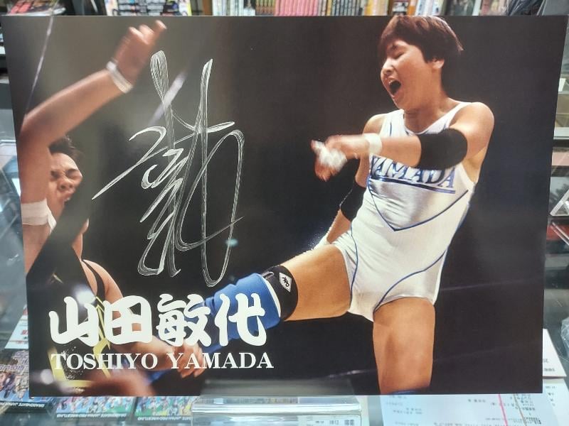 キャンディーズ（SANYO サイン入りポートレート） 後藤智香 直筆サイン入り ポートレート(B-4) – 闘道館