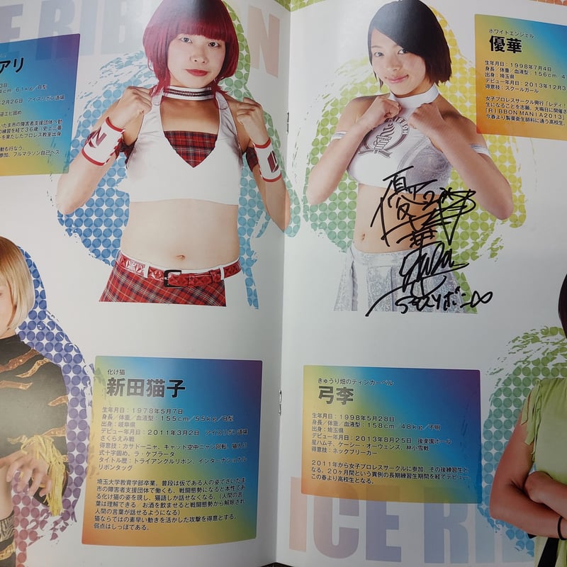 アイスリボン オフィシャルパンフレット2014（複数名直筆サイン入り