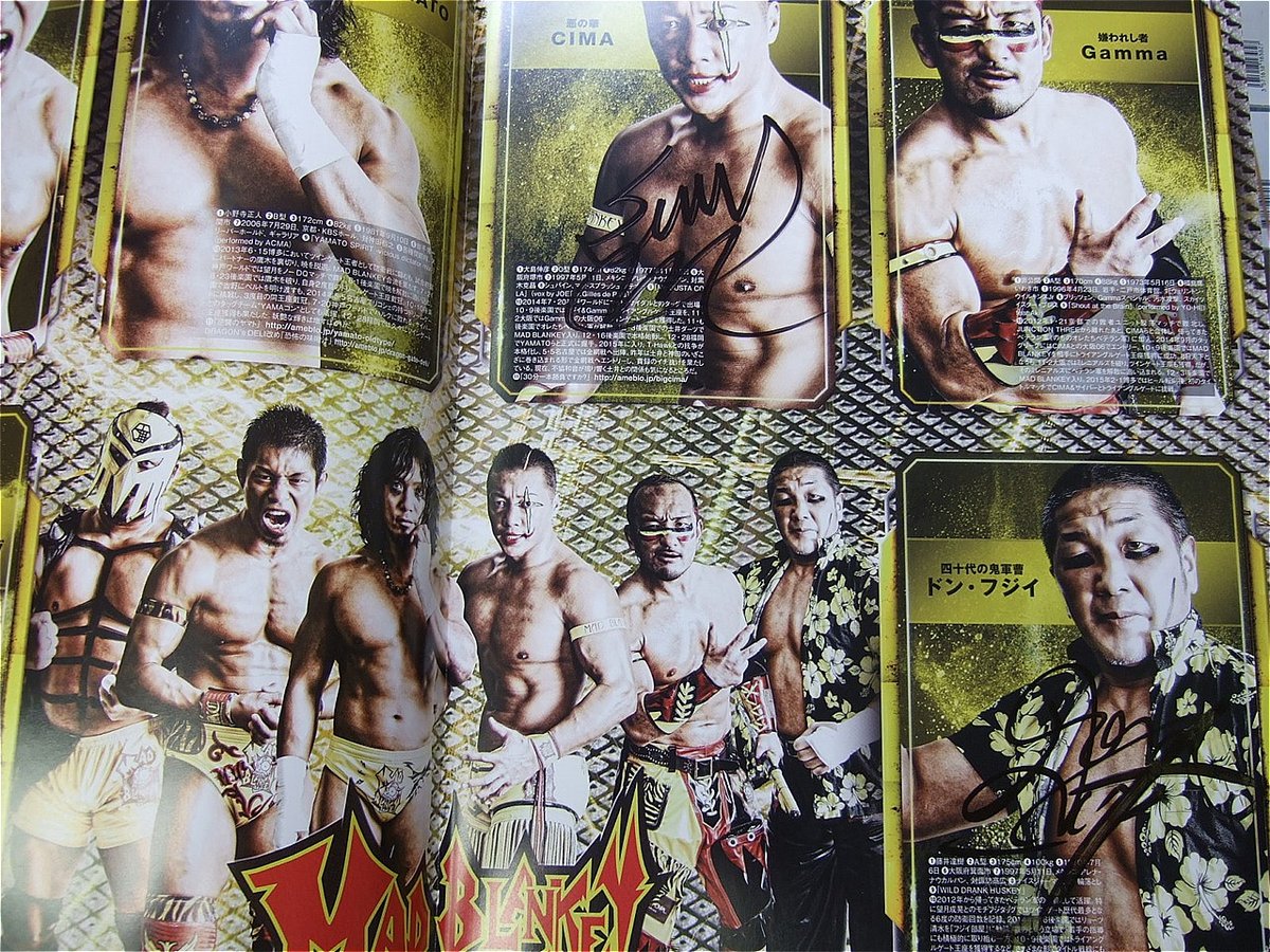 bbm 2002 プロレス　闘龍門　CIMA 直筆サインカード bbm 2002 プロレス 闘龍門 CIMA 直筆サインカード