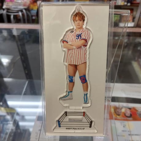 CATEGORY 小物・フィギュア | プロレスショップチャンピオン