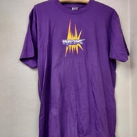 【希少】新日本プロレス　柴田勝頼選手　直筆サイン入りTシャツ　サイズL 希少】新日本プロレス 柴田勝頼選手 直筆サイン入りTシャツ サイズL 2025年