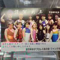 ヒクソン・グレイシー フィギュア | プロレスショップチャンピオン