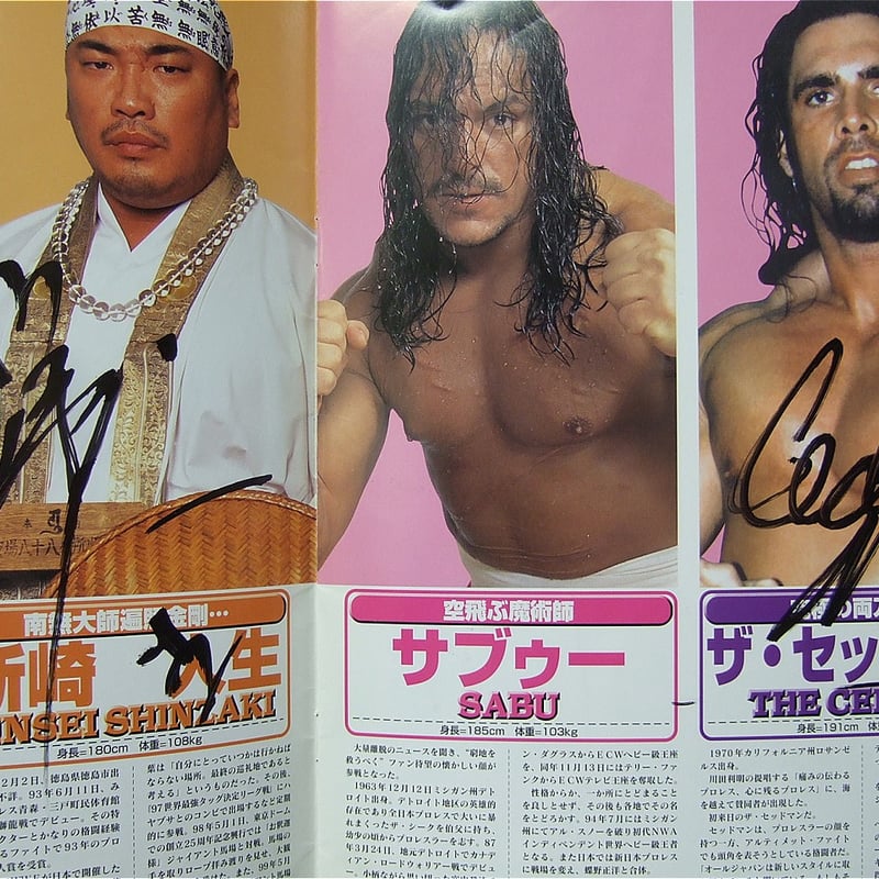 全日本プロレス2000サマーアクションシリーズ2パンフレット（太陽ケア