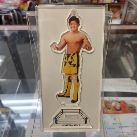 プロレスリング キーホルダーコレクション 全12種類 フルコン プロレスリング キーホルダーコレクション 全12種類 フルコン
