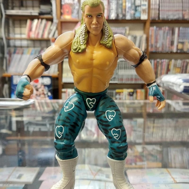 WWE ショーン・マイケルズ & トリプル　H DXフィギュアセット WWE ショーン・マイケルズ & トリプル H DXフィギュアセット
