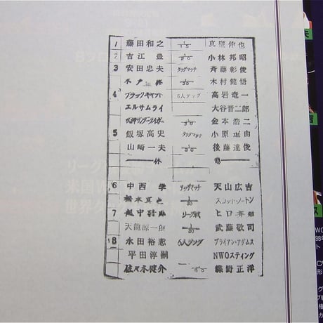 新日本プロレス 闘魂スペシャルVoi.135