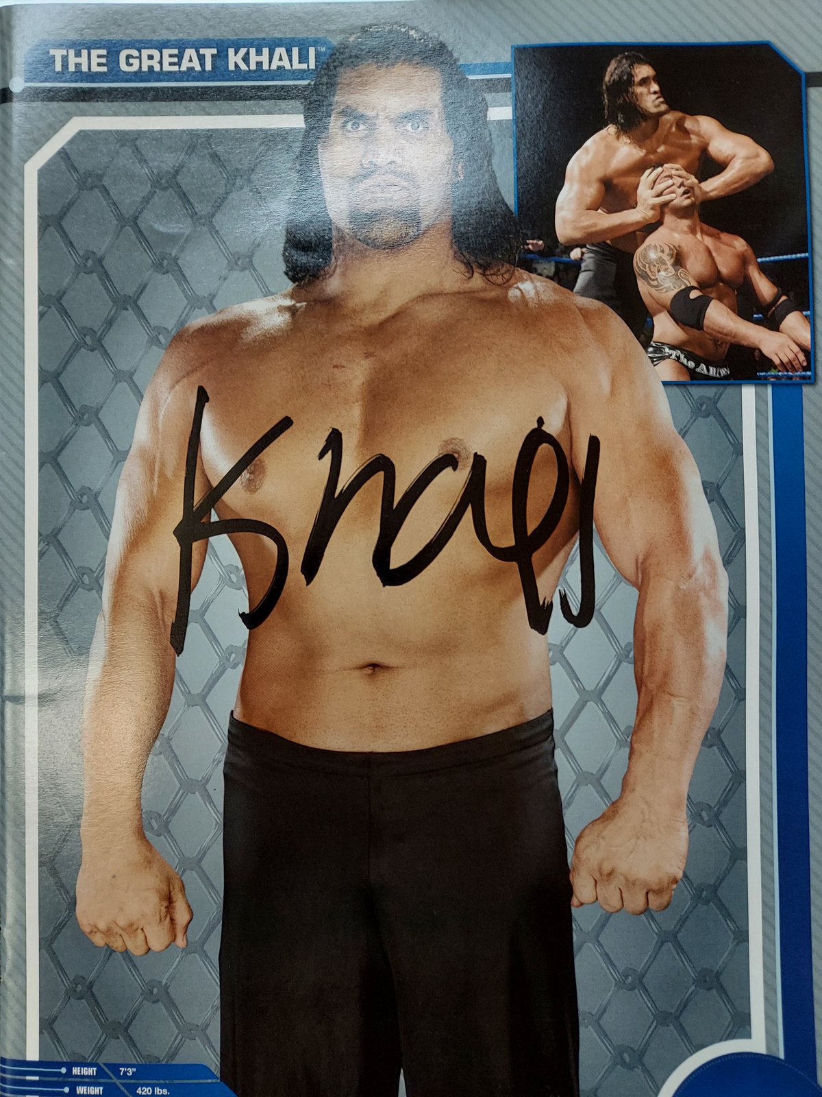 WWE ジョンシナ　CMパンク　サイン AEW WWE ジョンシナCMパンクサイン AEW