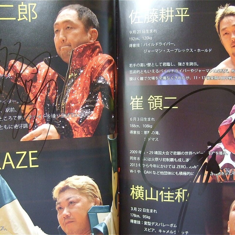 ZERO1オフィシャルパンフレット（複数選手直筆サイン入り
