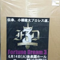新日本プロレス1999年8月28日神宮球場大会ポスター | プロレス