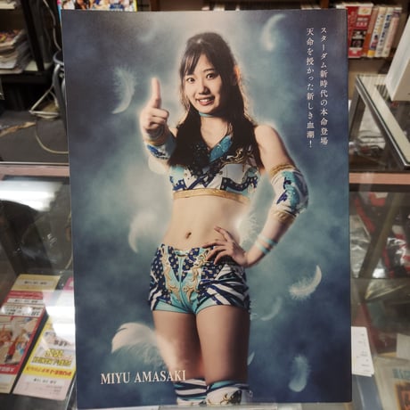 スターダム オフィシャルガイドブックVol.141
