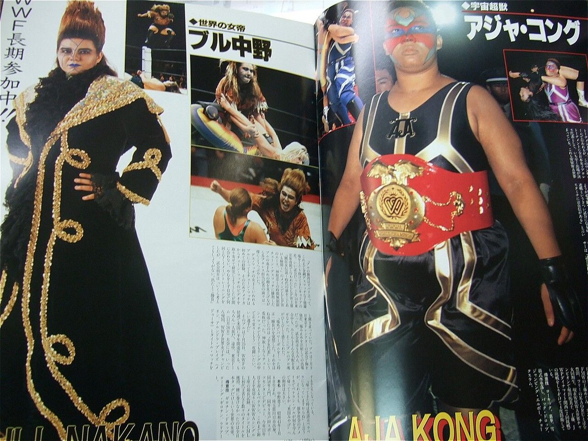女子プロレス 90年代 プログラム リングスターなど 30冊まとめ売り